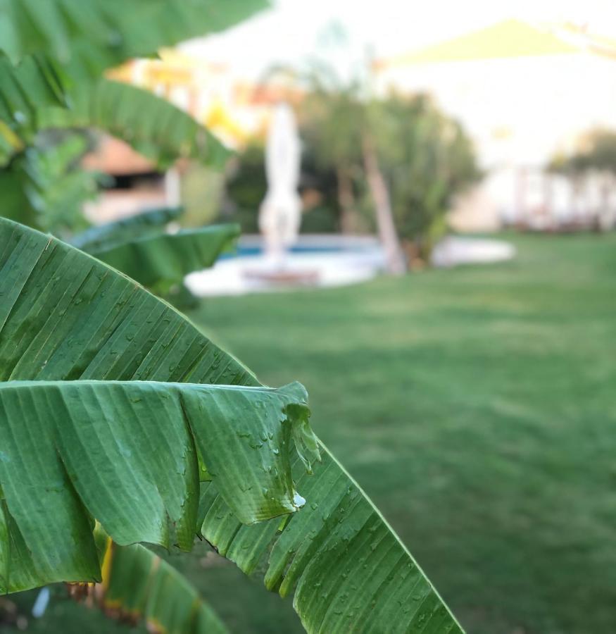 Triangulo Hotel Alaçatı Esterno foto